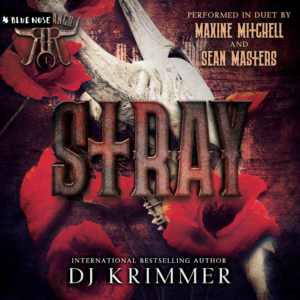 Audiobook Review: Stray Is a Standout Contemporary Romance